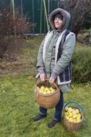 un de edad mediana mujer vestido en un calentar chaqueta y chaleco sostiene un mimbre cesta con verde manzanas en su manos. foto