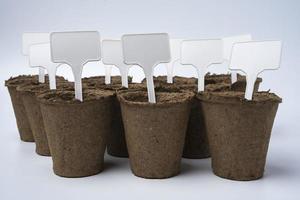 Empty peat pots with clean empty labels for seedlings, plates for planting photo