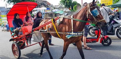 Surakarta, Indonesia, January 8, 2023 Dokar Wisata or chariot joyride in sunday car free day surakarta photo