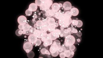 lus ster bubbels deeltjes drijvend zwart abstract achtergrond. video