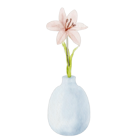 aguarela flor vaso png