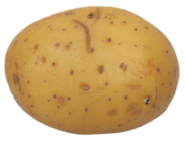 Patate légume nourriture transparent png