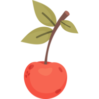 One cherry. Ripe fruit with leaves png