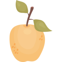 manzana. natural Fruta png