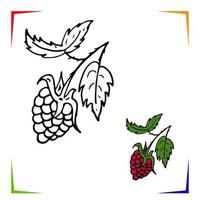 Raspberries Coloring Page. Vector Educational worksheet colored by sample. Paint game preschool kids