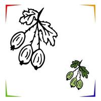 Gooseberry Coloring Page. Vector Educational worksheet colored by sample. Paint game preschool kids