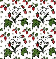 Strawberry seamless pattern. Doodle colorful vector for fashion, print, textile, cover. Red, green