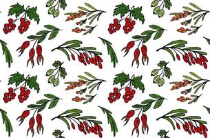 Seamless pattern barberry, gooseberry, wild rose, sea buckthorn, red currant. Vector health image.