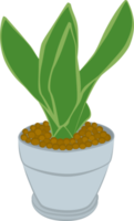 The Sansevieria Star Power is a snake plant that's easy to take care and usually used as houseplants in the room. png