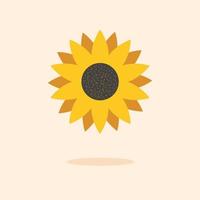 Sunflower natural vector flower