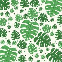 Monstera natural leaf vector background pattern