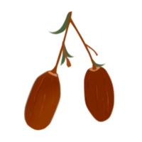 Sprig of Dates png