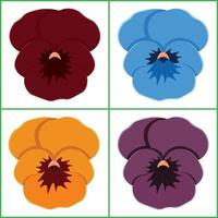 Frame with four different colored pansy flowers vector illustration