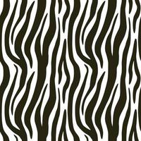 Zebra seamless pattern. Vector repeating background. EPS10.