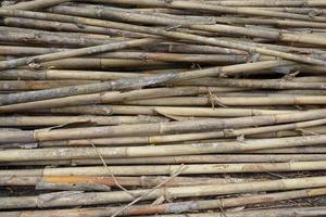 Stack of Dried Bamboo Stems - This image showcases a pile of dried bamboo stems that have photo