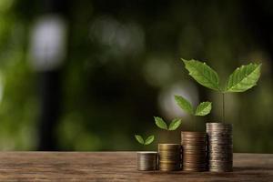 The seedlings are growing on the coins that are stacked together against of  sun light. photo