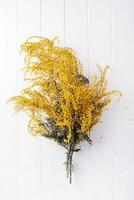 yellow mimosa flowers bouquet on wooden bakground photo