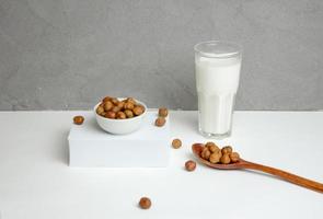 hazelnut milk concept, healthy vegetarian food photo