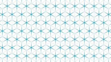 Seamless Pattern Vector Collection
