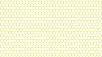 Seamless Pattern Vector Collection