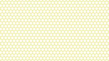 Seamless Pattern Vector Collection