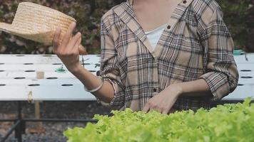 Friendly team harvesting fresh vegetables from the rooftop greenhouse garden and planning harvest season on a digital tablet video