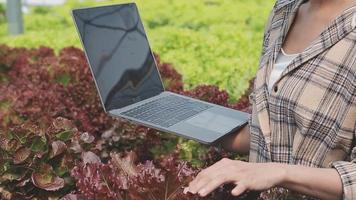 amigáveis equipe colheita fresco legumes a partir de a telhado estufa jardim e planejamento colheita estação em uma digital tábua video