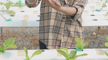 Friendly team harvesting fresh vegetables from the rooftop greenhouse garden and planning harvest season on a digital tablet video