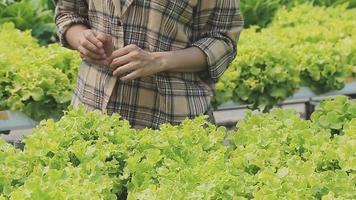 simpático equipo cosecha Fresco vegetales desde el techo invernadero jardín y planificación cosecha temporada en un digital tableta