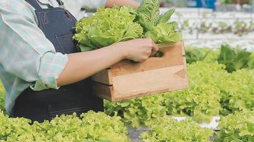 amigáveis equipe colheita fresco legumes a partir de a telhado estufa jardim e planejamento colheita estação em uma digital tábua video