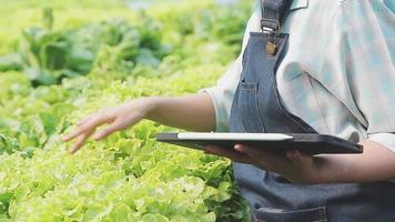 Friendly team harvesting fresh vegetables from the rooftop greenhouse garden and planning harvest season on a digital tablet video