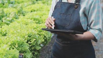 Friendly team harvesting fresh vegetables from the rooftop greenhouse garden and planning harvest season on a digital tablet video