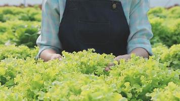 Friendly team harvesting fresh vegetables from the rooftop greenhouse garden and planning harvest season on a digital tablet video