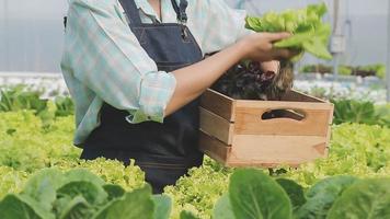 Friendly team harvesting fresh vegetables from the rooftop greenhouse garden and planning harvest season on a digital tablet video