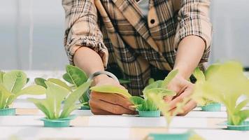 Woman wearing gloves with fresh vegetables in the box in her hands. Close up video