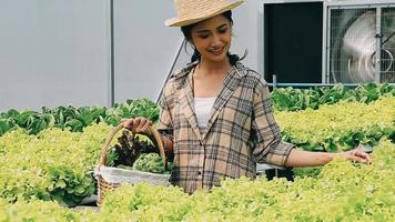 Woman wearing gloves with fresh vegetables in the box in her hands. Close up video