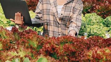 Woman wearing gloves with fresh vegetables in the box in her hands. Close up video