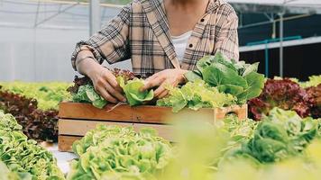 Woman wearing gloves with fresh vegetables in the box in her hands. Close up video