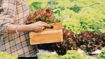 femme portant gants avec Frais des légumes dans le boîte dans sa mains. proche en haut video