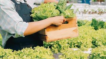 donna indossare guanti con fresco verdure nel il scatola nel sua mani. vicino su video