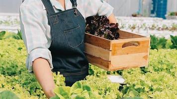 Woman wearing gloves with fresh vegetables in the box in her hands. Close up video