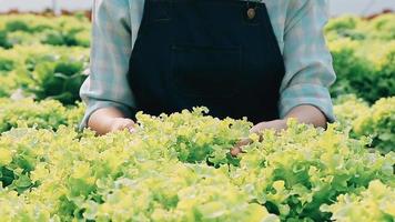 mujer vistiendo guantes con Fresco vegetales en el caja en su manos. cerca arriba video