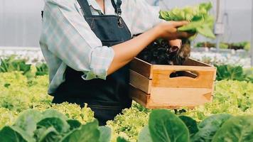 Frau tragen Handschuhe mit frisch Gemüse im das Box im ihr Hände. schließen oben video