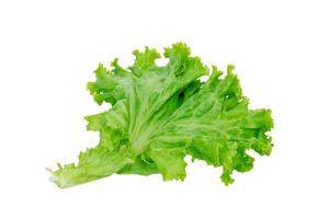 green lettuce leaves isolated on white background,Salad ingredient photo