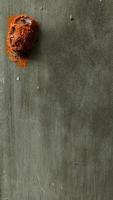 Mysterious orange cocoon pupa attached to gray cement wall, empty space for design and text, natural wallpaper, vertical view photo