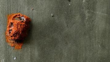 Mysterious orange cocoon pupa attached to gray cement wall, empty space for design and text, natural wallpaper, horizontal view photo