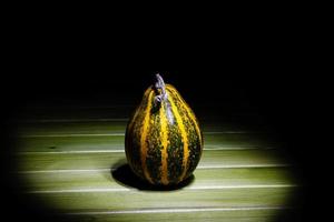 decorative pumpkin on a dark background photo