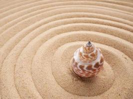Shell in circles on the sand. Zen concept. Spiral in the sand photo