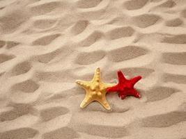 Two starfish are lying on the sand. Concept of vacation, sea, travel photo