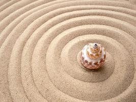 Shell in circles on the sand. Zen concept. Spiral in the sand photo